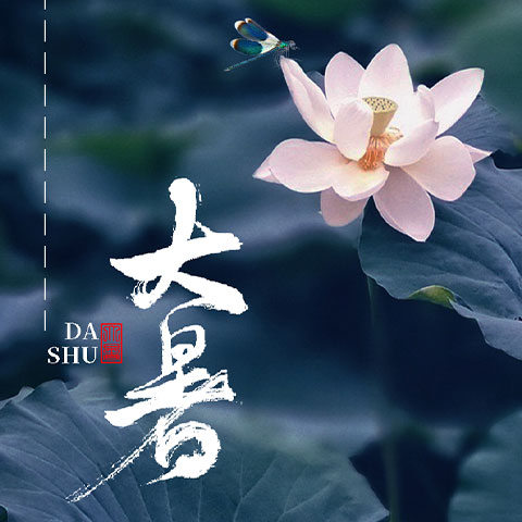清凉一夏，“冰粉”多彩丨ZOBO卓邦解锁消暑美味活动