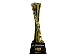 ZOBO荣获2024年声光视讯行业十佳广播会议（民族）品牌