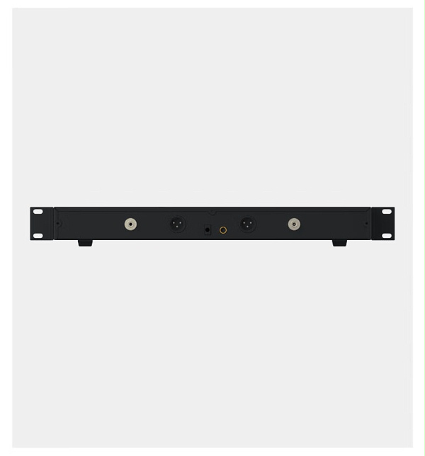 BBS娱乐话筒 HP-1 一拖二无线话筒 专业无线麦克风 真分集话筒 舞台演出会议婚庆主持6