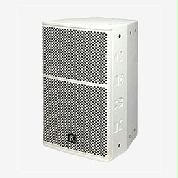 β3专业音响 CE3K 10